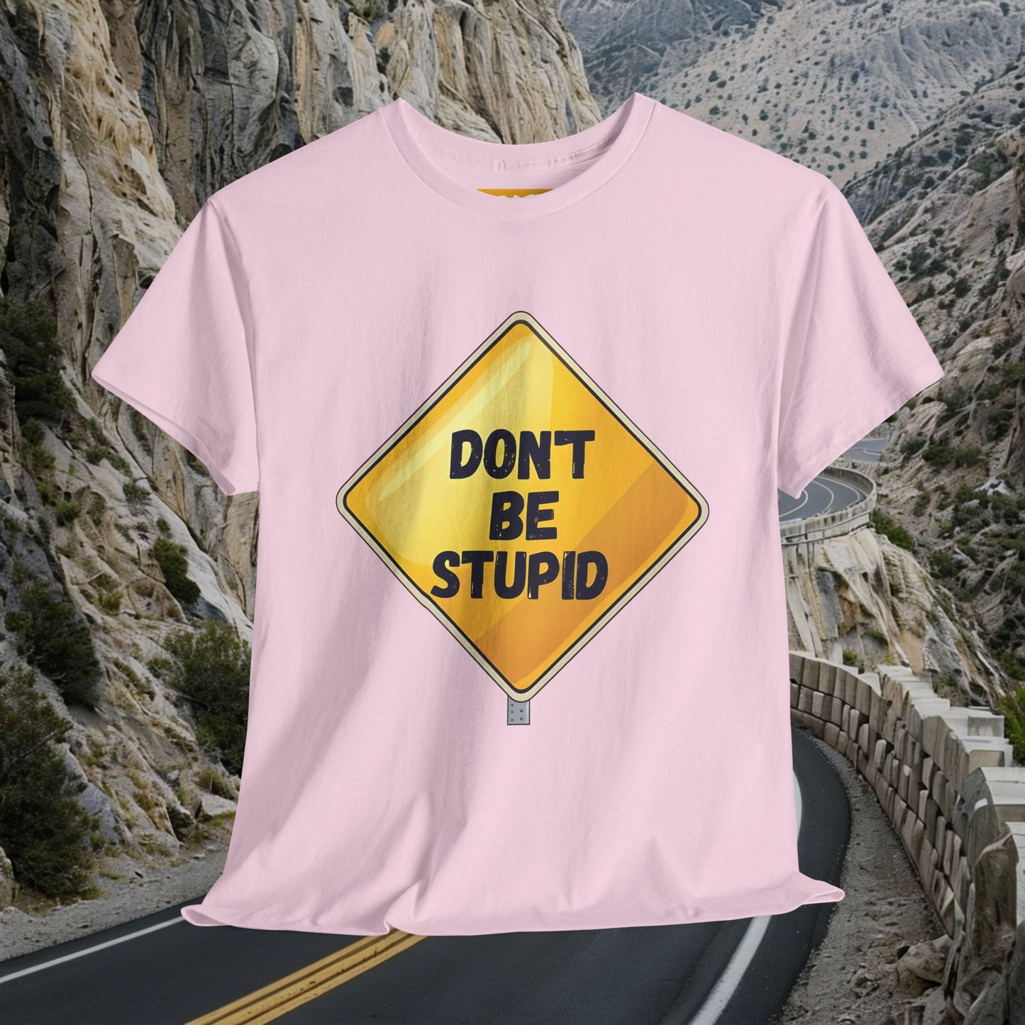 'Don't Be Stupid' Quirky Graphic Shirt