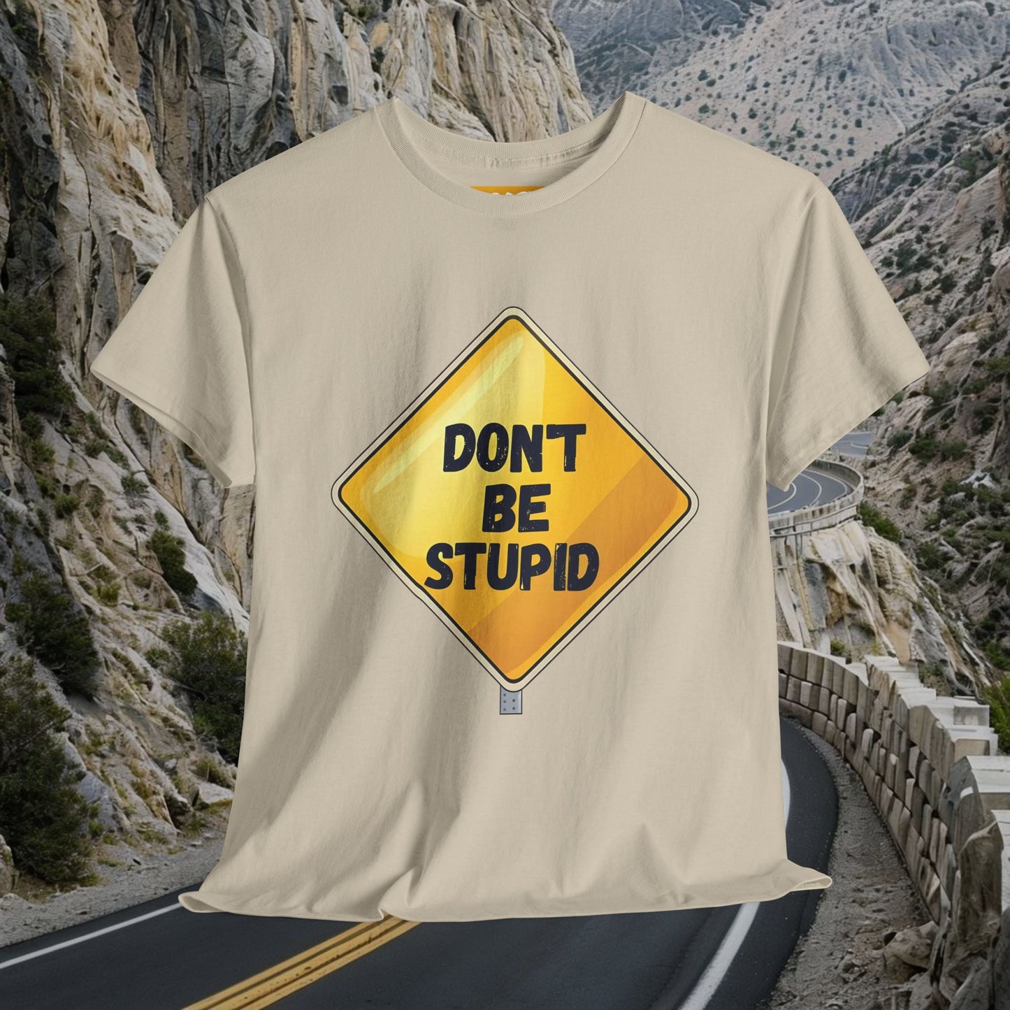 'Don't Be Stupid' Quirky Graphic Shirt